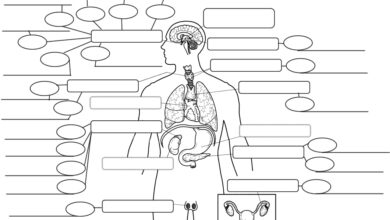 system engineer jobs